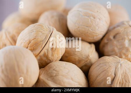 Haufen ungeschälter Walnüsse in Nahaufnahme. Haufen gereifter Walnüsse in der Schale, Betonung auf Details, hohe Auflösung. Stockfoto