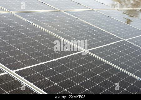 Nahaufnahme der Öko-Technologie des Solarzellenkraftwerks. Solarzellen-Panels in einem Photovoltaik-Kraftwerk. Nachhaltiges Energiekonzept Stockfoto