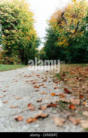 Ein verwinkelter Kiesweg führt durch einen ruhigen Park, flankiert von Bäumen, die mit herbstlichem Laub bewachsen sind. Goldene und orangene Blätter bedecken den Boden Stockfoto