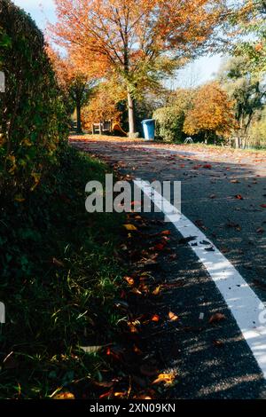 Eine malerische Straße verwandelt sich im Herbst und zeigt lebhaftes Laub und gefallene Blätter, die auf dem Weg verstreut sind. Das Sonnenlicht filtert durch t Stockfoto