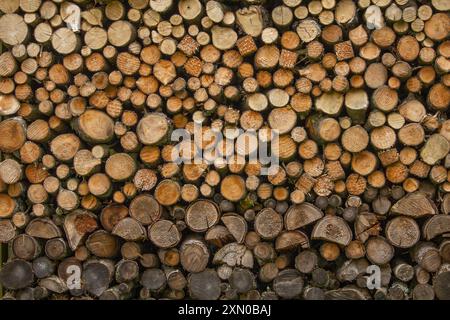 Abstraktes Foto von einem Stapel natürlicher Holzscheite im Hintergrund von oben Stockfoto