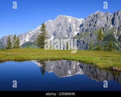 Der Hochkoenig an einem sonnigen Sommertag, blauer Himmel, Reflexion in einem kleinen Teich Mühlbach am Hochkönig Österreich Stockfoto