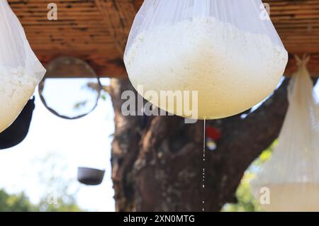 Schafstation am Stadtrand von Breb, wo Schafe gemolken und Käse auf traditionelle Weise hergestellt wird, im hübschen Maramures, Nordrumänien. Stockfoto