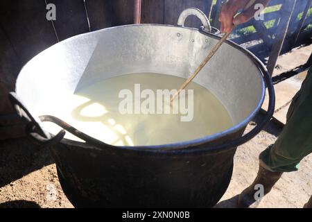 Schafstation am Stadtrand von Breb, wo Schafe gemolken und Käse auf traditionelle Weise hergestellt wird, im hübschen Maramures, Nordrumänien. Stockfoto