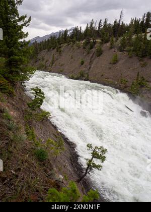 Bow River Falls, Banff, Alberta, Kanada Stockfoto