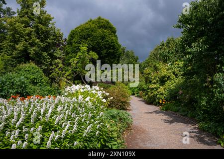 Sheffield Botanische Gärten im Sommer. South Yorkshire, England. Stockfoto