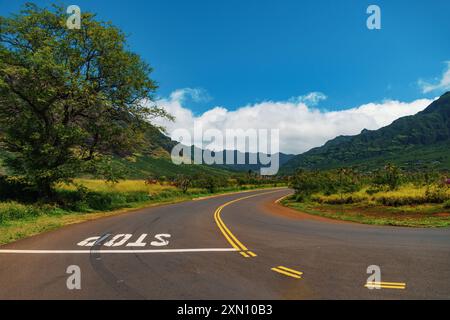 Auf der Straßenseite ist das Wort STOP gemalt Stockfoto