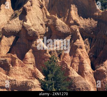 Malerischer Blick auf die Esterregalls d'all Badlands in La Cerdanya, Katalonien. Wunderschöne Landschaft mit einzigartigen Felsformationen und üppiger Vegetation. Stockfoto