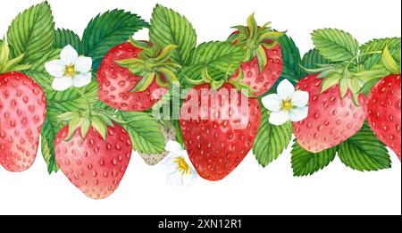 Nahtloser Rand aus roter Erdbeere. Reife rote Beeren, Blüten und Blätter. Handgezeichnetes Aquarell-Ornament. Köstliches Essen, frische botanische, realistische Farben Stockfoto