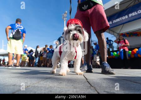 Salvador, Bahia, Brasilien - 30. Juni 2024: Hunde werden bei einem Spaziergang am Leuchtturm von Barra in Salvador, Bahia, gekleidet gesehen. Stockfoto