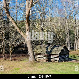 Eine rustikale alte Holzscheune oder Schuppen neben einem großen Baum in Cades Cove im Great Smokey Mountains National Park in Tennessee. Stockfoto