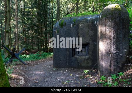 Betonpillenkastenbunker Nr. "ŽSV X/315/A140-Z", Teil der tschechoslowakischen Befestigungslinie vor dem 2. weltkrieg in Orlické hory (Adlergebirge) mit tschechischem Igel. Stockfoto