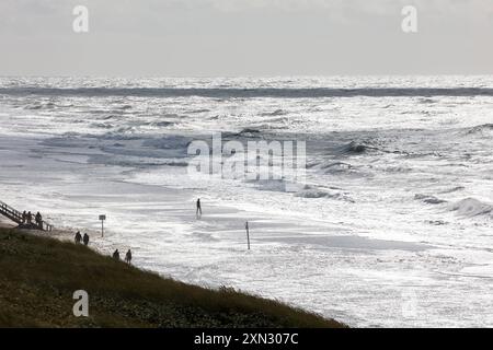 Stürmischer Tag am Strand von Westerland, Sylt DEU, Deutschland, Sylt, Westerland: Das Bild zeigt einen weiten Strandabschnitt in Westerland auf Sylt. Mehrere Personen spazieren entlang des Strandes, während hohe Wellen auf die Küste treffen. Der Himmel ist bewölkt und das Meer wirkt stürmisch. Im Vordergrund sind grasbewachsene Dünen zu sehen. Westerland Sylt Schleswig Holstein Deutschland *** Sturmtag am Strand von Westerland, Sylt DEU, Deutschland, Sylt, Westerland das Bild zeigt einen weiten Strandabschnitt in Westerland auf Sylt mehrere Menschen laufen am Strand entlang, während hohe Wellen auf den Sch treffen Stockfoto