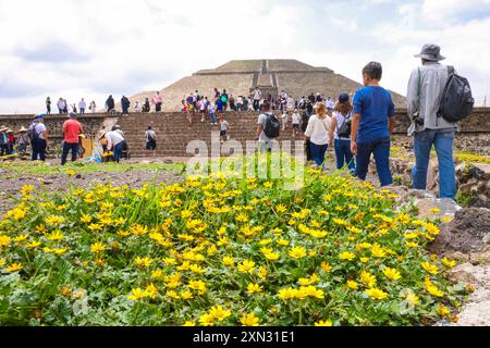 Pyramide der Sonne in San Juan Teotihuacan Mexiko in der archäologischen Zone von Teotihuacan, der Stadt mit den größten Pyramiden in Mesoamerika im Bundesstaat Mexiko. Pyramide des Mondes in San Martin de las Pirámides Mexiko und Palast von Quetzalpapálotl. Pyramidenbasis, Archäologie, Architektur. Steingebäude, Dorf ... (Foto: Luis Gutierrez/Norte Photo) Pirámide del Sol en San Juan Teotihuacán Mexico en la Zona Arqueológica de Teotihuacán, la ciudad con las Pirámides más grandes de mesoamérica en Estado de México. Pirámide de la Luna en San Martín de las Pirámides Mexico y Palacio Stockfoto