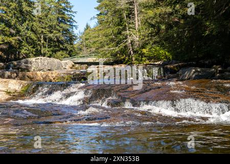 Ein herrlicher Blick auf das Wasser in der Nähe von Bäumen und Pflanzen in einem lokalen Park in Minnesota. Stockfoto