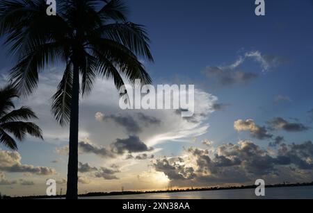 Ein friedlicher Sonnenuntergang über einem ruhigen Meereshorizont mit einer Silhouette von Palmen und einem lebendigen Himmel, der von Blau zu warmen Orangentönen wechselt Stockfoto