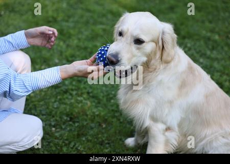 Besitzer gibt Spielball an niedlichen Golden Retriever Hund draußen, Nahaufnahme Stockfoto