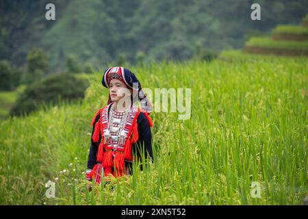 Ethnische Rote Dao-Frau, die auf Reisterrassen im Bezirk Hoang Su Phi der Provinz Ha Giang in Nordvietnam steht Stockfoto