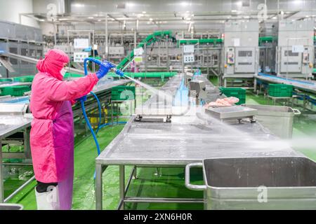 Arbeiter verwenden nach Beendigung der täglichen Arbeit in der Geflügelfabrik Förderband und Tisch mit Hochdruck-Wassersprühspray. Stockfoto