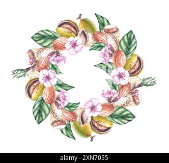 Handgezeichneter Mandel-Rahmen mit Aquarell. Mandelnuss mit Blumen und Obstkranz. Handgezeichnete Mandel für Verpackungsdesign, Produkte, Menüs, Restaurants, usw. Stockfoto