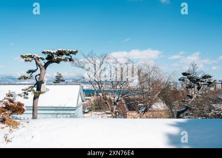 Winter der Hakodate Motomachi Straße in Hokkaido, Japan Stockfoto