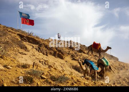 Tanger, Marokko. Juli 2024. Eine Gruppe von Kamelen spaziert zwischen den Dünen eines Strandes in Tanger. (Foto: David Canales/SOPA Images/SIPA USA) Credit: SIPA USA/Alamy Live News Stockfoto