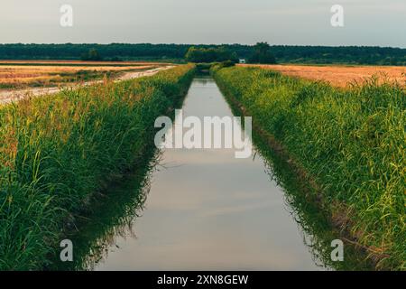 Wasserkanal zwischen bewirtschafteten Feldern zur Bewässerung von Kulturen, selektiver Fokus Stockfoto