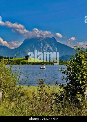 31.07.2023, Hopfensee in Bayern, der Hopfensee bei Füssen im Allgäu, um den Gipfel des Säuling wabern noch tiefe Wolken. Siehe ein Tretboot in Schwanenform. 31.07.2024, am Hopfensee im Allgäu 31.07.2024, am Hopfensee im Allgäu *** 31 07 2023, Hopfensee in Bayern, Hopfensee bei Füssen im Allgäu, noch niedrige Wolken wehen um den Gipfel des Säulings Ein schwanförmiges Tretboot auf dem See 31 07 2024, am Hopfensee im Allgäu 31 07 2024, am Hopfensee im Allgäu Stockfoto