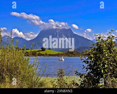 31.07.2023, Hopfensee in Bayern, der Hopfensee bei Füssen im Allgäu, um den Gipfel des Säuling wabern noch tiefe Wolken. Siehe ein Tretboot in Schwanenform. 31.07.2024, am Hopfensee im Allgäu 31.07.2024, am Hopfensee im Allgäu *** 31 07 2023, Hopfensee in Bayern, Hopfensee bei Füssen im Allgäu, noch niedrige Wolken wehen um den Gipfel des Säulings Ein schwanförmiges Tretboot auf dem See 31 07 2024, am Hopfensee im Allgäu 31 07 2024, am Hopfensee im Allgäu Stockfoto