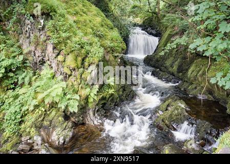 Gebrochenes Wasser in der Gegend entlang des Weges, der zum Ceunant Mawr Wasserfall in Llanberis, Gwynedd, Nordwales führt Stockfoto