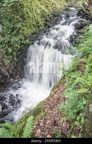 Gebrochenes Wasser in der Gegend entlang des Weges, der zum Ceunant Mawr Wasserfall in Llanberis, Gwynedd, Nordwales führt Stockfoto