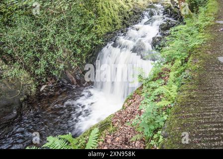 Gebrochenes Wasser in der Gegend entlang des Weges, der zum Ceunant Mawr Wasserfall in Llanberis, Gwynedd, Nordwales führt Stockfoto