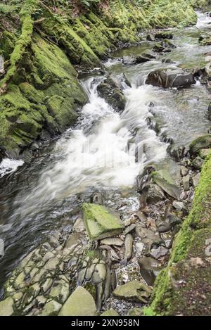 Gebrochenes Wasser in der Gegend entlang des Weges, der zum Ceunant Mawr Wasserfall in Llanberis, Gwynedd, Nordwales führt Stockfoto