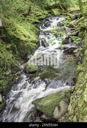 Gebrochenes Wasser in der Gegend entlang des Weges, der zum Ceunant Mawr Wasserfall in Llanberis, Gwynedd, Nordwales führt Stockfoto
