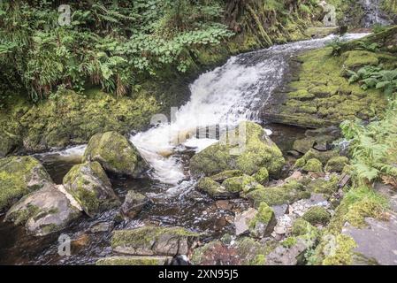 Gebrochenes Wasser in der Gegend entlang des Weges, der zum Ceunant Mawr Wasserfall in Llanberis, Gwynedd, Nordwales führt Stockfoto