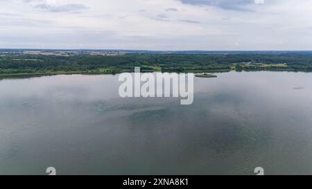 Drohnenfotografie von Wald und See während des bewölkten Sommers Stockfoto