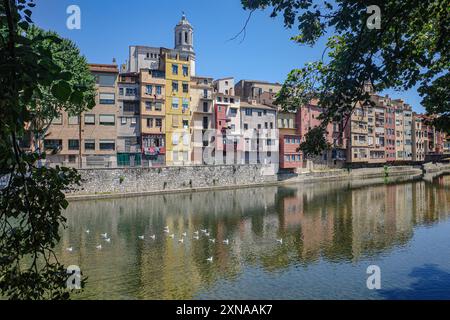 Girona, Spanien - 23. Juli 2024: Farbige Häuser am Fluss Onyar, Girona, Katalonien Stockfoto