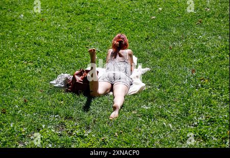 Frau mit Buch eine Frau liegt bei sommerlichen Temperaturen auf dem Rasen in einem Park und liest ein Buch, Berlin, 30.07.2024. Berlin Berlin Deutschland *** Frau mit einem Buch Eine Frau liegt bei Sommertemperaturen auf dem Gras in einem Park und liest ein Buch, Berlin, 30 07 2024 Berlin Berlin Deutschland Stockfoto