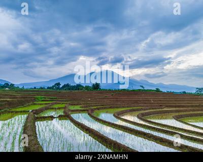 Wunderschöner Morgenblick indonesien, Panorama Landschaft Reisfelder mit Schönheit Farbe und Himmel natürliches Licht Stockfoto