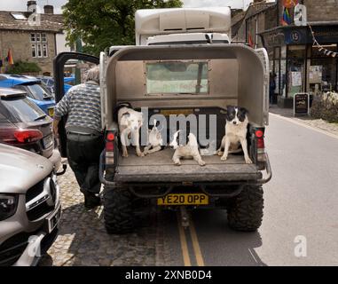 Schäferhunde in einem ATV auf dem Weg zur Arbeit, Grassington, Yorkshire Dales National Park, Großbritannien Stockfoto