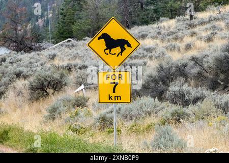 Straßenschild, Pferdewildwechsel, British Columbia, Kanada, Symbolbild, Warnschild, Verkehrszeichen, Landschaft, Prärie, Wildpferde, Straße, Sicherheit, Natur, Kilometer, Schild, Reise, Abenteuer, Outdoor, Autofahrt. *** Straßenschild, Wildtierüberquerung von Pferden, British Columbia, Kanada, Symbolbild, Warnschild, Straßenschild, Landschaft, Prärie, Wildpferde, Straße, Sicherheit, Natur, Kilometer, Schild, reisen, Abenteuer, Outdoor, Fahren Copyright: xGrantxHubbsx Stockfoto