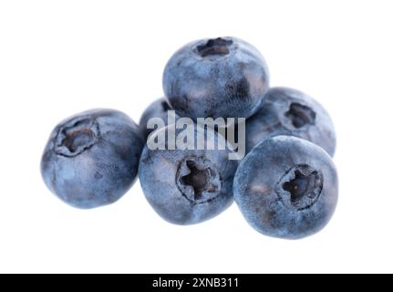 Frische Heidelbeere isoliert auf weißem Hintergrund. Heidelbeere oder Heidelbeerbeeren. Beschneidungspfad. Stockfoto