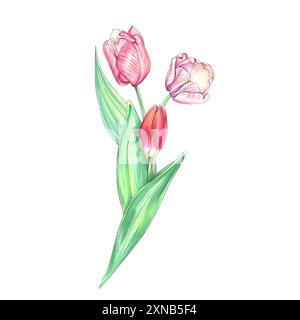 Aquarell künstlerische Illustration Frühlingszwischenzeitblumen Eimer. Isolierte Tulpen. Muttertag. Romantische Frische-Kunstwerke. Für Einladung Stockfoto