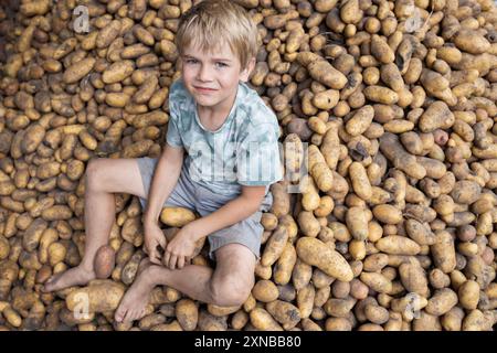 Ein fröhlicher 7-jähriger Junge kletterte auf einen Haufen frisch gegrabener Kartoffeln. Bauen Sie Bio-Gemüse an. Gute Ernte, kleiner Helfer. Landwirtschaftsspiele. Sommer im Th Stockfoto