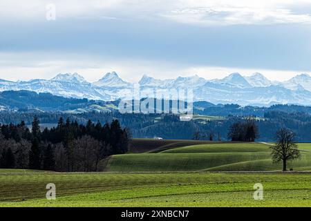 Emmental, Schweiz - 02.01.2022 - Blick auf die Schweizer Alpen Stockfoto