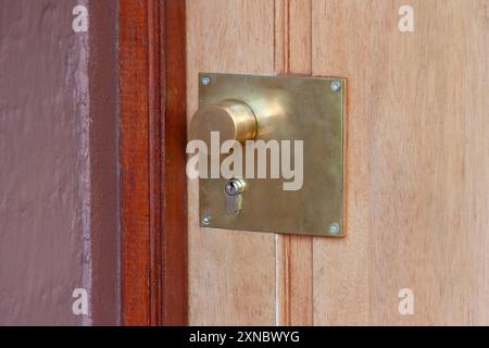 Türknauf und Schloss, goldfarbenes Messingschild am Griff, Holztür Stockfoto