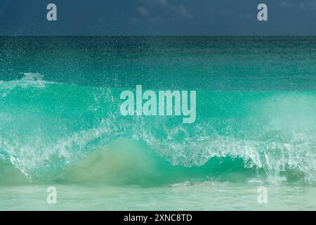 Mächtige riesige Welle, die am Ufer der Seychellen bricht, Ozean abstrakt Stockfoto