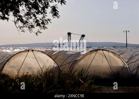 Gewächshäuser stehen am Tagebau Hambach - im Hintergrund ist der obere Teil eines Schaufelradbaggers sichtbar, wie er im Tagebau Kohle abbaut. Themenbild, Symbolbild Kerpen, 30.07.2024 NRW Deutschland *** Gewächshäuser stehen am Tagebau Hambach im Hintergrund, der obere Teil eines Schaufelradbaggers ist bei der Kohlegewinnung sichtbar im Tagebau Themenbild, Symbolbild Kerpen, 30 07 2024 NRW Deutschland Copyright: XChristophxHardtx Stockfoto