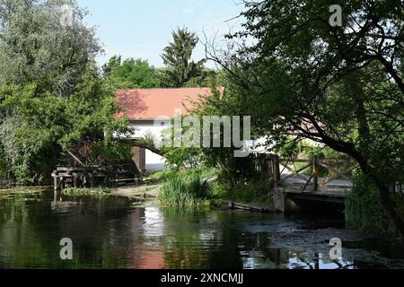 Wassermühle auf Klátovské Rameno in der Nähe von Dunajský Klátov auf der Insel Roggen Stockfoto