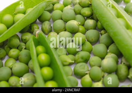 Bio-Erbsen und offene Erbsenschoten auf weißem Hintergrund Stockfoto